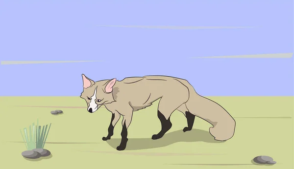 Fox Natuur Achtergrond Vector — Stockvector