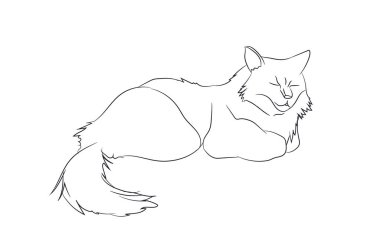 kedi çizgiler, vektör, beyaz arka plan