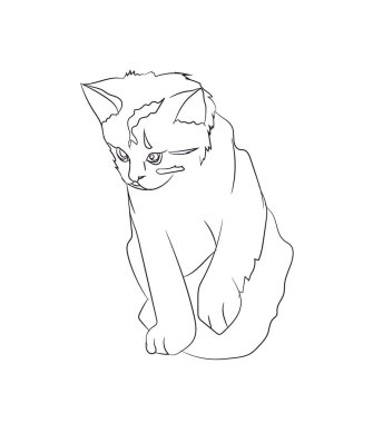 kedi çizgiler, vektör, beyaz arka plan