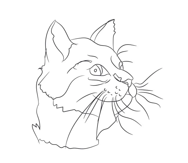 Cat Portrét Linky Vektor Bílé Pozadí — Stockový vektor