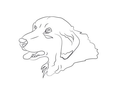 köpek portre, çizgiler, vektör, beyaz arka plan