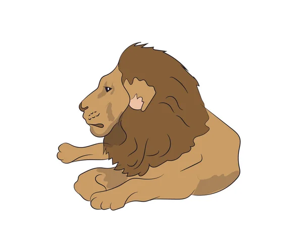 Löwe Lügt Vektor Weißer Hintergrund — Stockvektor