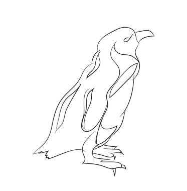 Penguen, çizgili, vektör, beyaz arka plan