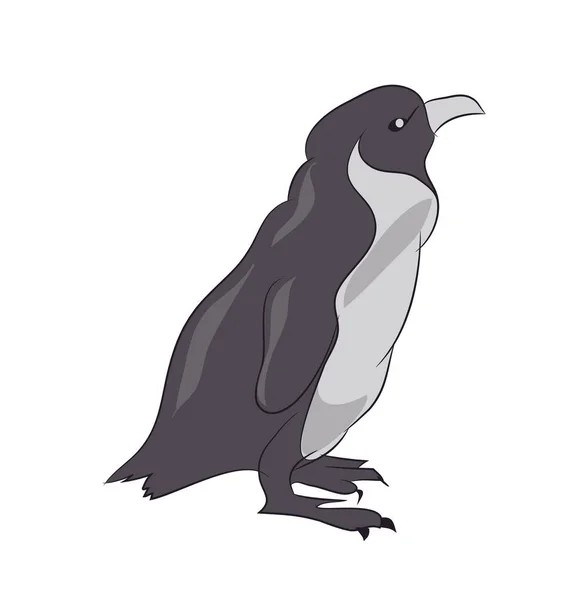 Pingvin Vázlat Szín Vektor Fehér Háttér — Stock Vector