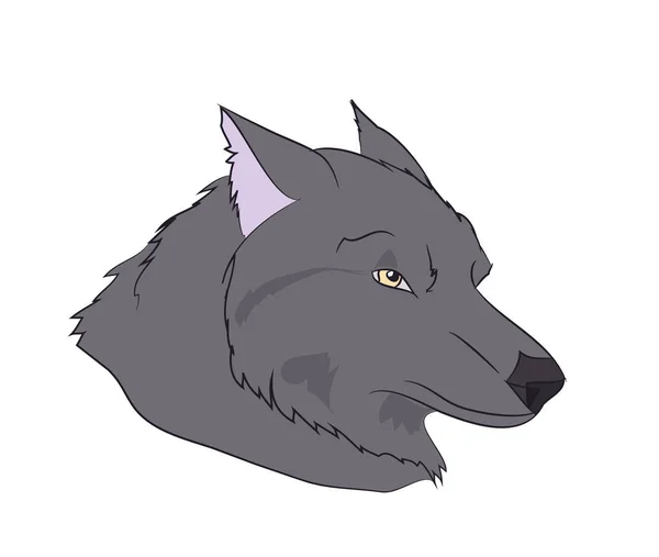 Wolf Portret Vector Witte Achtergrond — Stockvector