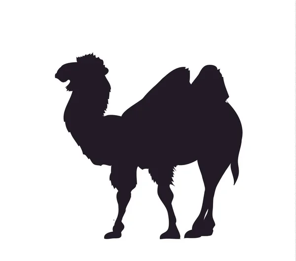 Camel Silhouette Vector White Background — Stock Vector