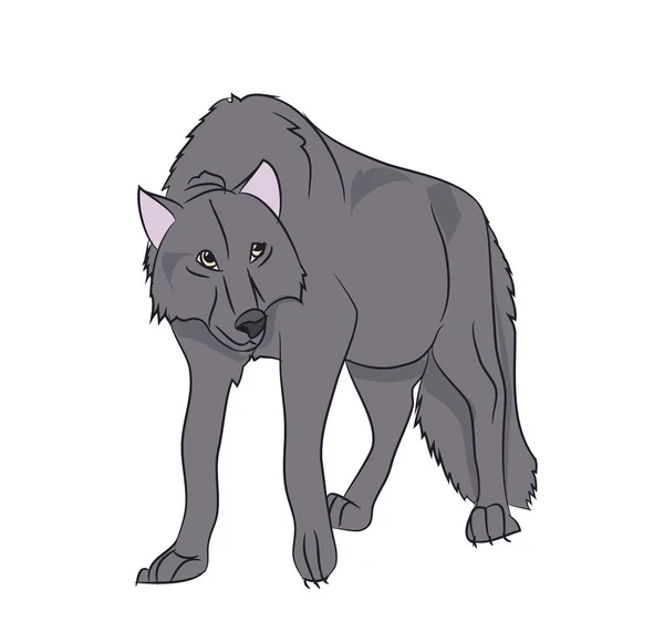 Wolf Staat Vector Witte Achtergrondkleur — Stockvector