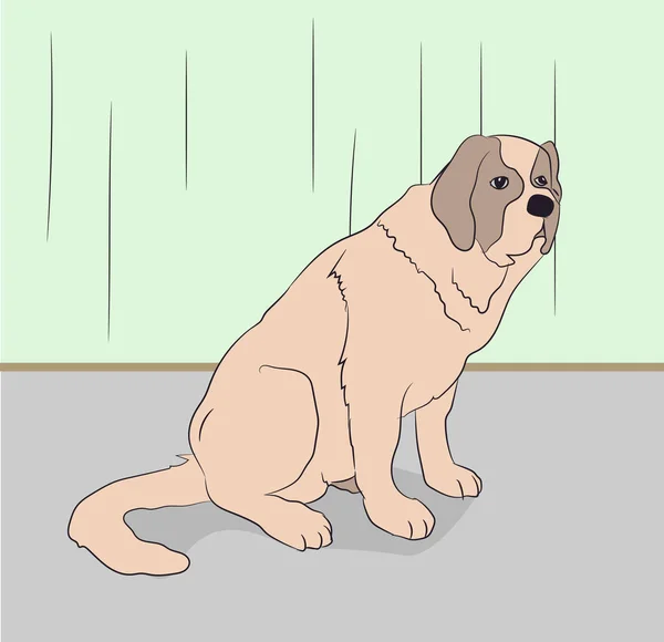 Perro Sentado Una Habitación Vector Color — Vector de stock