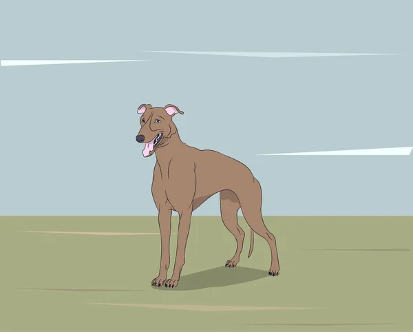 Perro Corriendo Color Vector Aire Libre — Archivo Imágenes Vectoriales