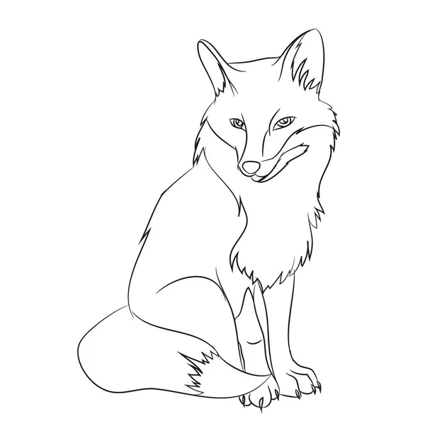 otururken, çizgiler, vektör, beyaz arka plan tilki