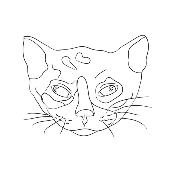 Cat Portrait Lines Vector White Background — Stock Vector