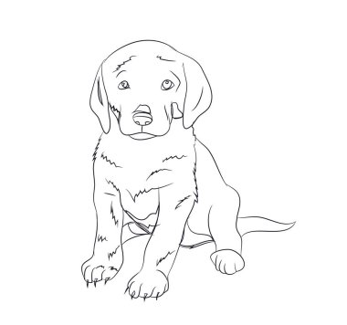 otururken, çizgiler, vektör, beyaz arka plan köpek