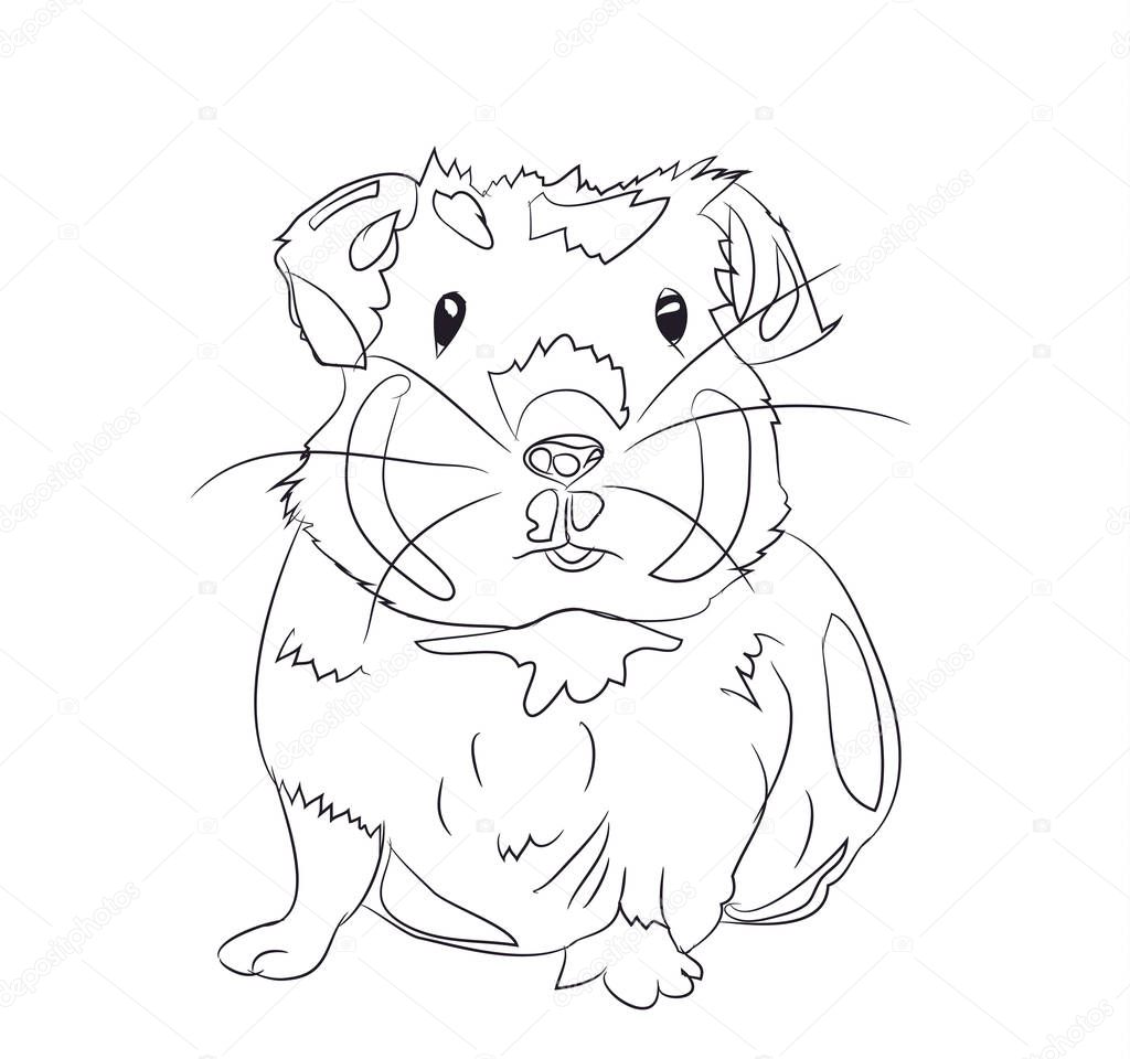guinea pig, lines, vector, white background