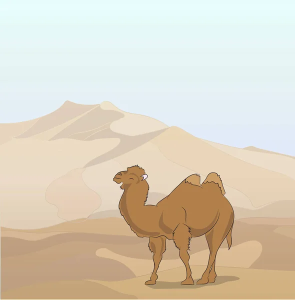 Camelo Fica Deserto Vetor — Vetor de Stock