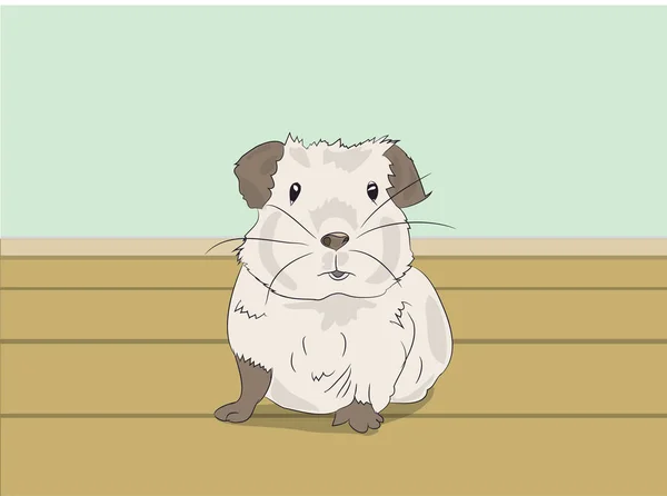 Guinea Pig Sitting Room Vector — Stock Vector