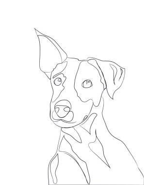 köpek portre, çizgiler, vektör, beyaz arka plan