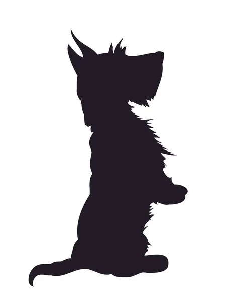 arka plan beyaz köpek gıda, siluet, vektör için soran,