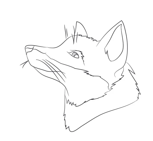Porträt Eines Fuchses Linien Vektor Weißer Hintergrund — Stockvektor