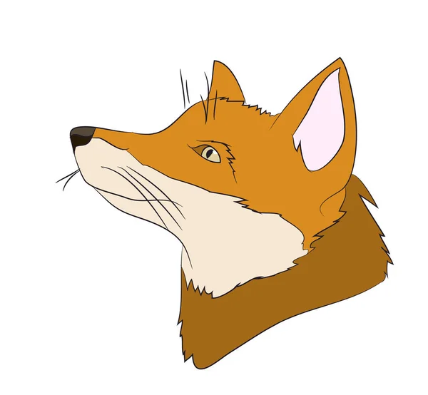 Porträt Eines Fuchses Vektor Weißer Hintergrund — Stockvektor