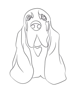 köpek portre, çizgiler, vektör, beyaz arka plan