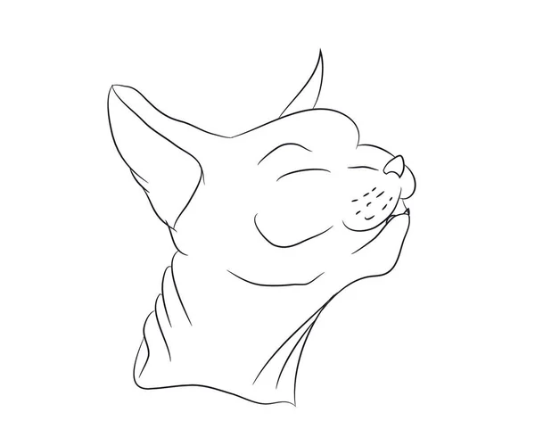Katzenporträt Linien Vektor Weißer Hintergrund — Stockvektor
