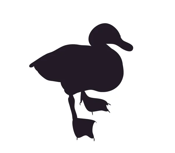 Duck Silhouette Vector White Background — Stock Vector