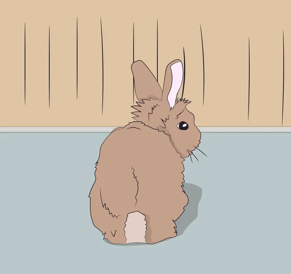 Кролик Сидить Кімнаті Вектор — стоковий вектор