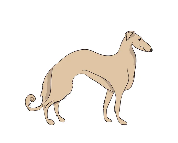 Собака Коричневый Вектор Белый Бэкграунд — стоковый вектор