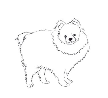 köpek standları, çizgiler, vektör, beyaz arka plan