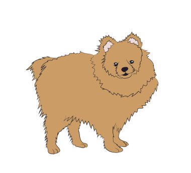 köpek olduğunu bir kahverengi vektör, beyaz adam