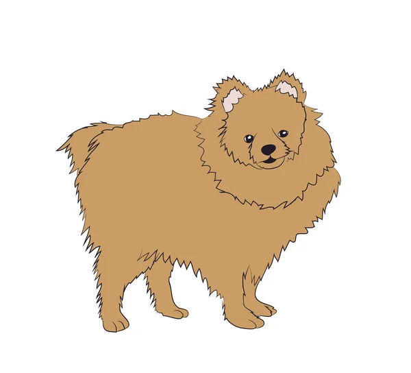 Hond Een Bruin Vector Witte Pagina — Stockvector