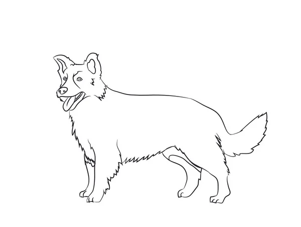 Pies Stoi Linie Wektor Białe Tło — Wektor stockowy