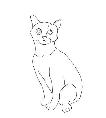 kedi çizgiler, vektör, beyaz arka plan