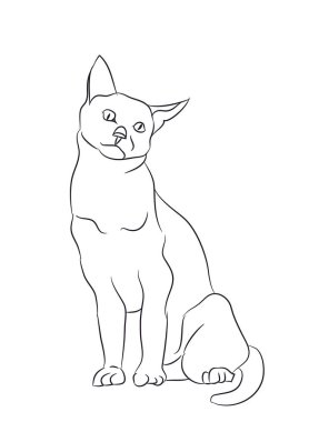 kedi çizgiler, vektör, beyaz arka plan