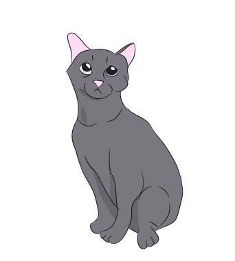 kedi renk, vektör, beyaz arka plan