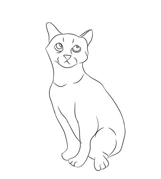 kedi çizgiler, vektör, beyaz arka plan