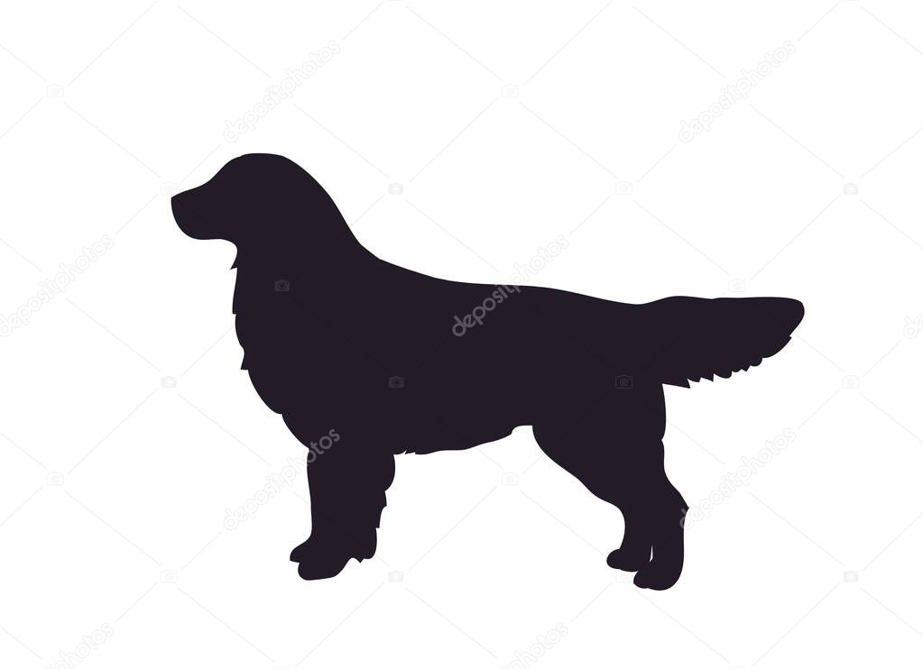 dog stands, silhouette, vector, white background