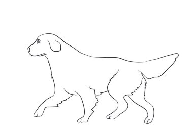 çalışan, çizgiler, vektör, beyaz arka plan köpek