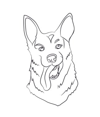 köpek portre, çizgiler, vektör, beyaz arka plan