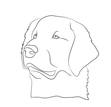 köpek portre, çizgiler, vektör, beyaz arka plan