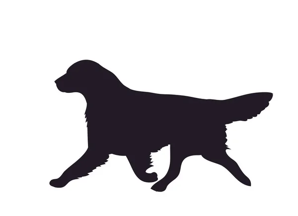 Pes Běží Silueta Vektor Bílé Pozadí — Stockový vektor