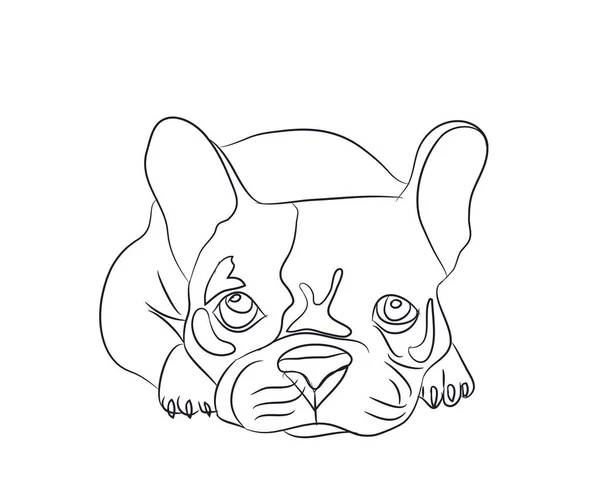 köpek yatıyor, çizgiler, vektör, beyaz arka plan