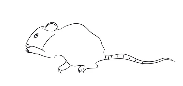 Мышь Линии Вектор Белый Фон — стоковый вектор