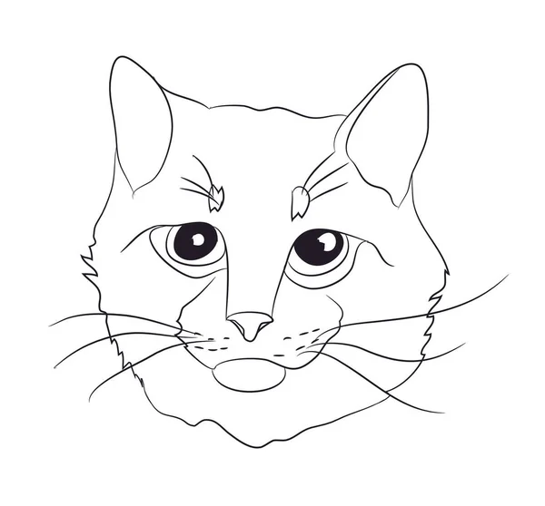 Retrato Gato Linhas Vetor Fundo Branco — Vetor de Stock