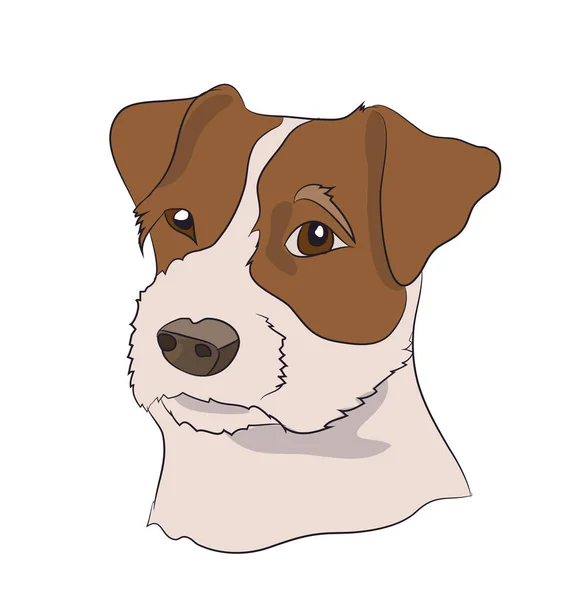 Профіль Портрета Собаки Дивіться Вниз Вектор — стоковий вектор