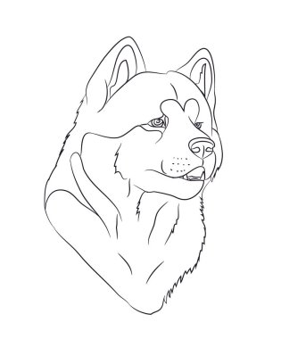 köpek portre, çizgiler, vektör, beyaz arka plan