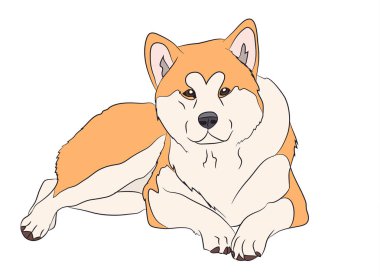 köpek yatıyor, vektör, beyaz arka plan