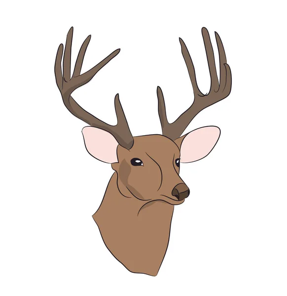 Deer Portrait Vector White Background — Stock Vector
