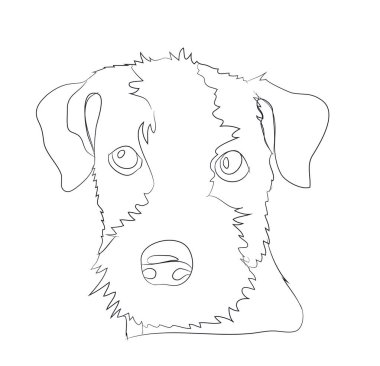 köpek portre, çizgiler, vektör, beyaz arka plan