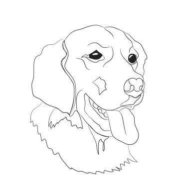 köpek portre Ines, çizgiler, vektör, beyaz arka plan